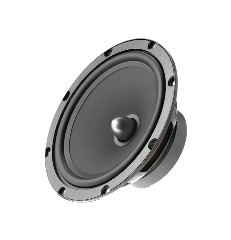 Focal RSE-165 ������������ �������