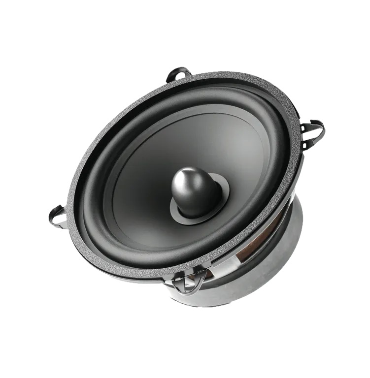Focal RSE-130 ������������ �������